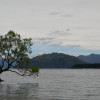 New Zealand